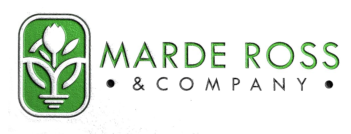 August Moon Hosta - Shade Plant, 20" Tall 42" Wide, Lush Green Foliage, Ideal for Low Light Areas, Low Maintenance, Perfect for Garden Beds & Shade Gardens
