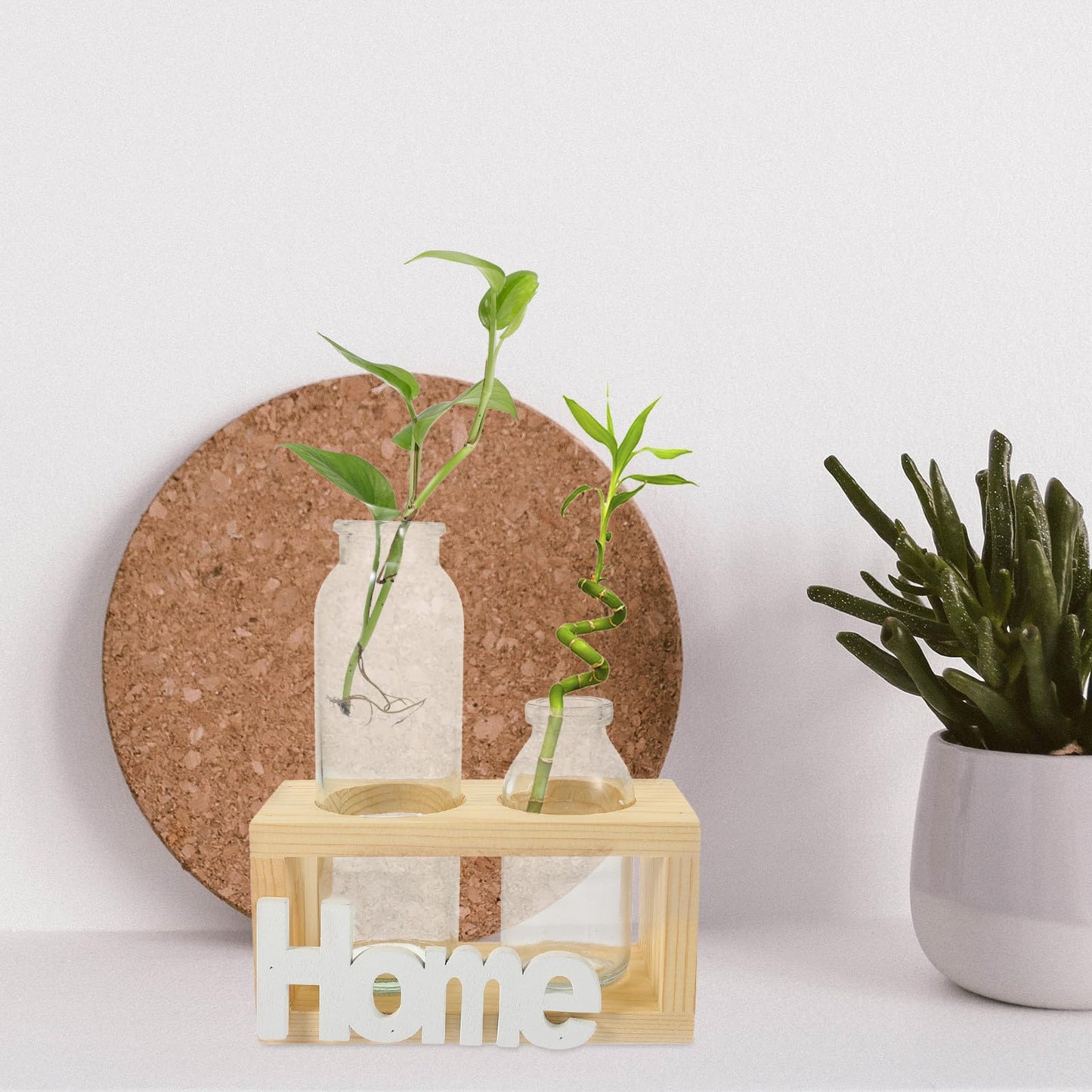 Luxshiny Hydroponic Glass Plant Vase with Wooden Stand, Nordic Style Indoor Terrarium Planter for Home Desk Decoration, 2pcs Set