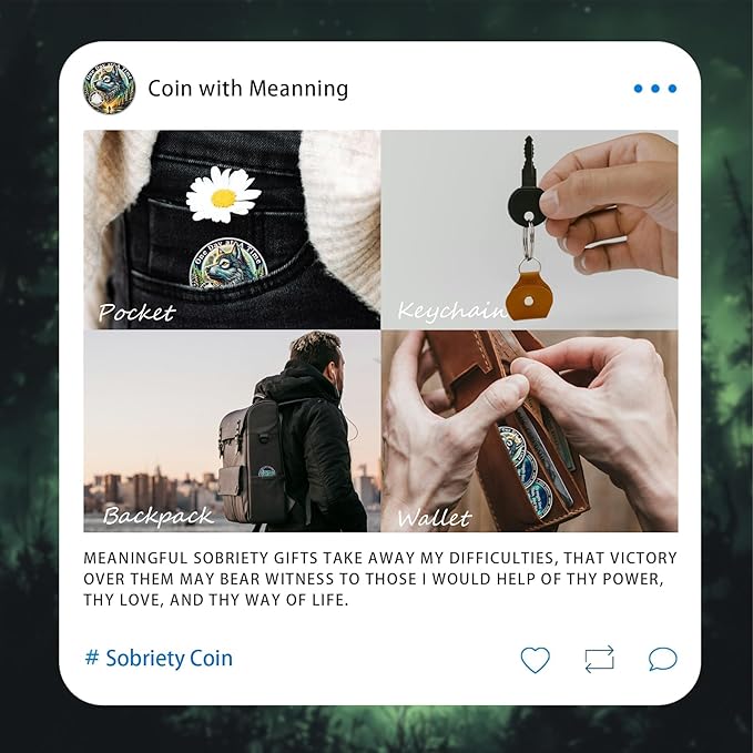 One Day at a Time Sobriety Coin - Recovery Aurora Forest Wolf AA Coins - Addiction NA AA Chips and Medallions - Celebrate 1-65 Sober Living Clean Narcotics Alcoholics Anonymous Gifts for Men Women