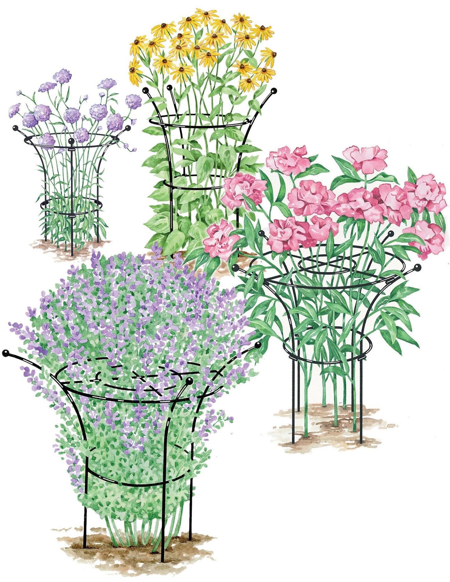 Gardener's Supply Company Essex Plant Support | Sturdy Metal Frame for Peonies & Roses | Flower Garden Cage with Wide Top Rings Natural Bouquet Shape | 31.5" H X18 D