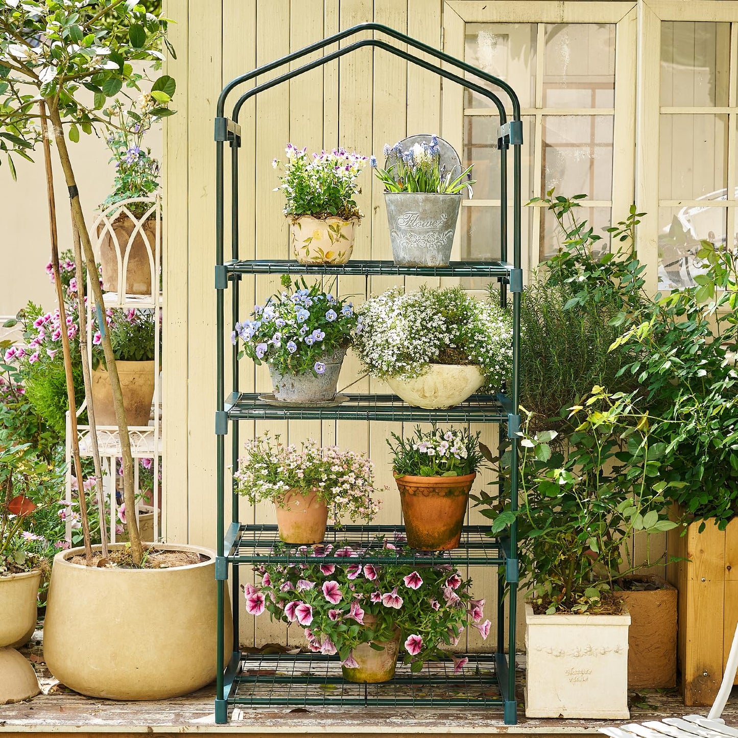 Purlyu Mini Greenhouse for Indoor Outdoor,Plant Green House 4-Tier Rack Stand Portable Greenhouses with Durable PE Cover for Seedling, 2.5x1.6x5.2 FT Ideal Gardening Gifts for Women Men(PLGH704G)