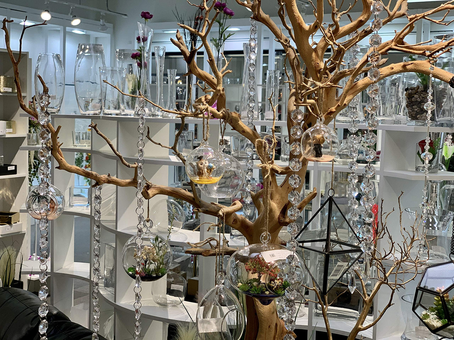 WGVI WGV Hanging Terrarium Globe, Width 8", Height 9", DIY Air Succulent Planter, Clear Glass Vase Orb with Flat Bottom, Candle Holder for Windowsill Outdoor Garden Decor, 1 Piece