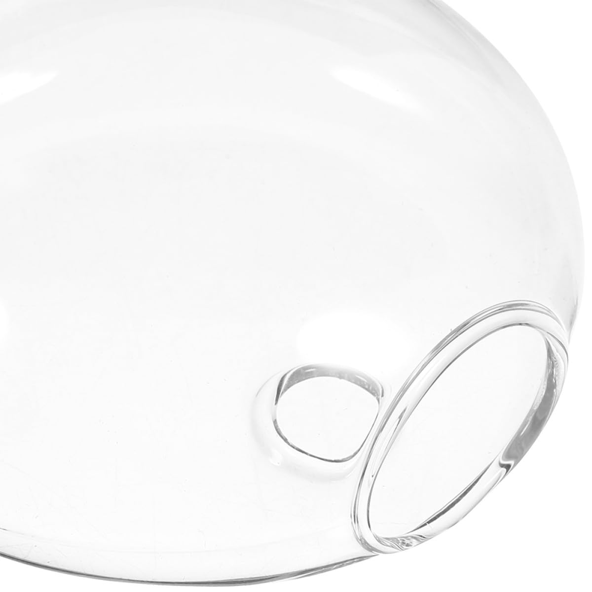 NUOBESTY Wall Hanging Glass Vase for Indoor Plants Hydroponic Glass Terrarium Planter Decor Set of 6 for Home Office Gardening
