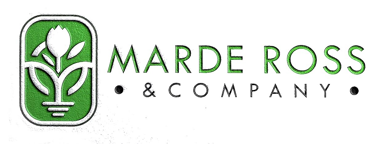 Indian Blanket Flower - Gaillardia - Source of Nectar for Monarch Butterflies - Approximately 1.400 Seeds