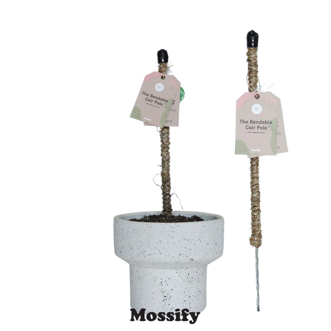 Mossify Bendable Coir Pole for Plants – 42” Premium Manila Coir Moss Pole Monstera Plant Support for Indoor & Outdoor Plant Climbing Support - Comes with Reusable Tape for Durable Plant Pole