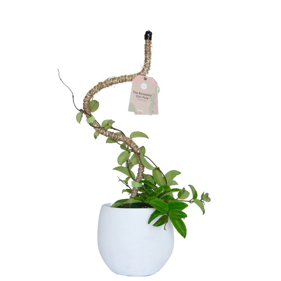 Mossify Bendable Coir Pole for Plants – 42” Premium Manila Coir Moss Pole Monstera Plant Support for Indoor & Outdoor Plant Climbing Support - Comes with Reusable Tape for Durable Plant Pole
