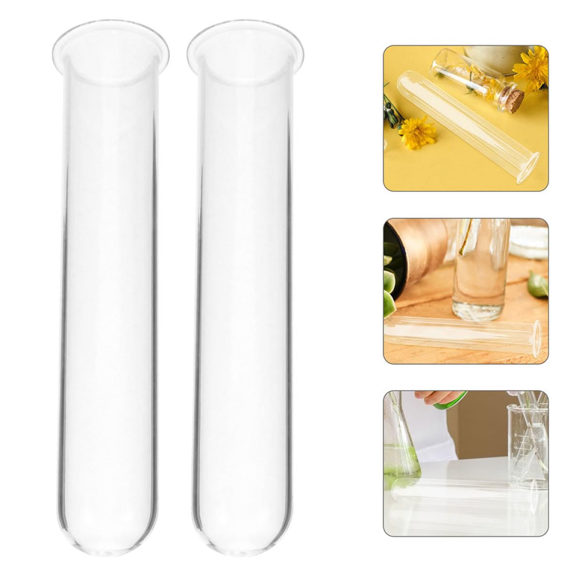 Garneck 6pcs Glass Test Tube Flower Vases Hydroponic Propagation Tubes Glass Plant Containers 2.5x3x15cm for Home and Office Décor