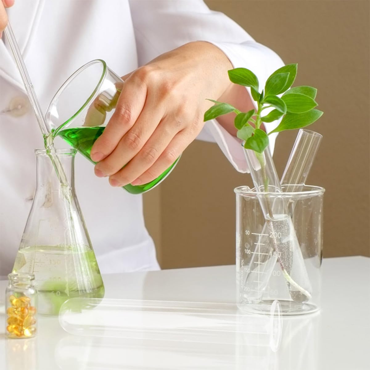 BESPORTBLE 4pcs Glass Test Tube Vase Plant Propagation Tubes Hydroponic Planter Terrariums Desktop Floral for Indoor Plants Home Décor