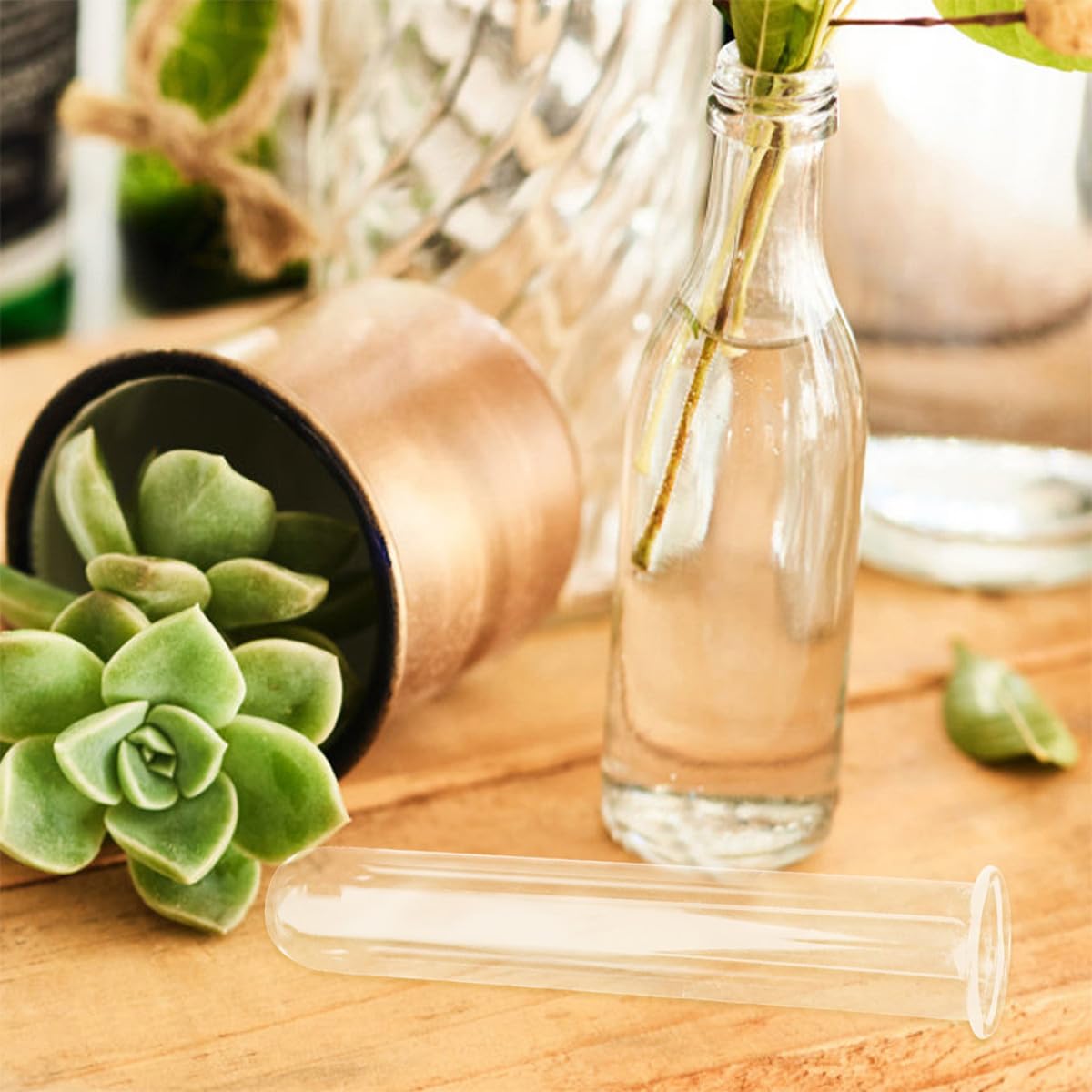 ARTSEWPLY 4Pcs Glass Test Tube Vases for Plant Propagation Hydroponic Glass Planter Decorative Terrarium Flower Holder for Home Office Desk Display