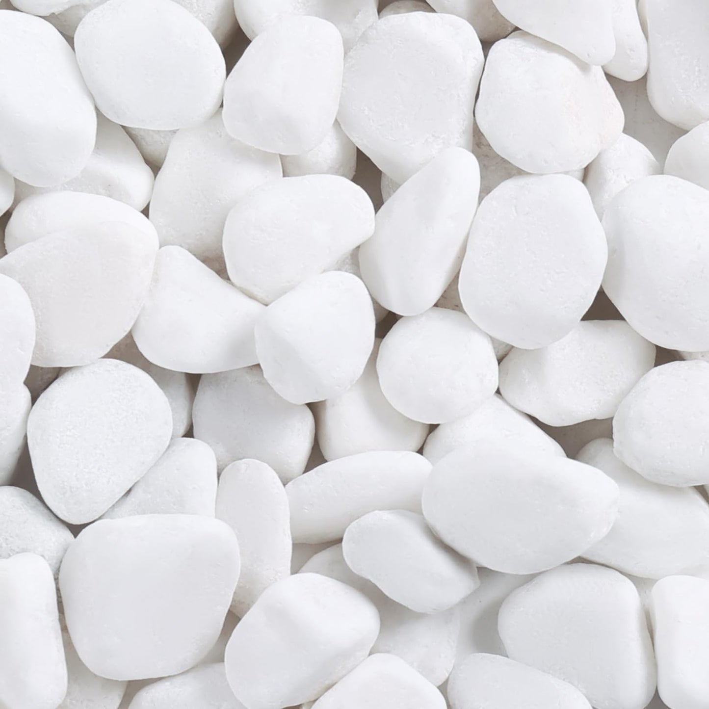 SIDONG 5 lbs White River Rocks, 1.2-2 Inches Pebbles for Indoor Plants, Aquarium Rocks Used in Fish Tank, Decorative Stones for Plants, Vases, Home Décor, Crafting, Garden Landscaping