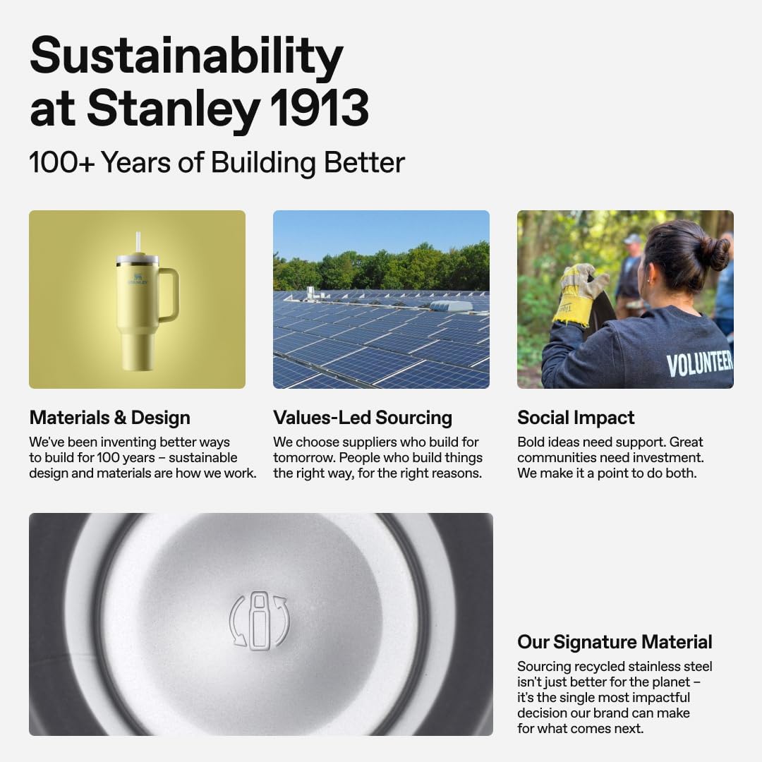 STANLEY Quencher H2.0 Tumbler - 14 oz Insulated Stainless Steel Cup with Handle & Straw | BPA-Free | Spring Green