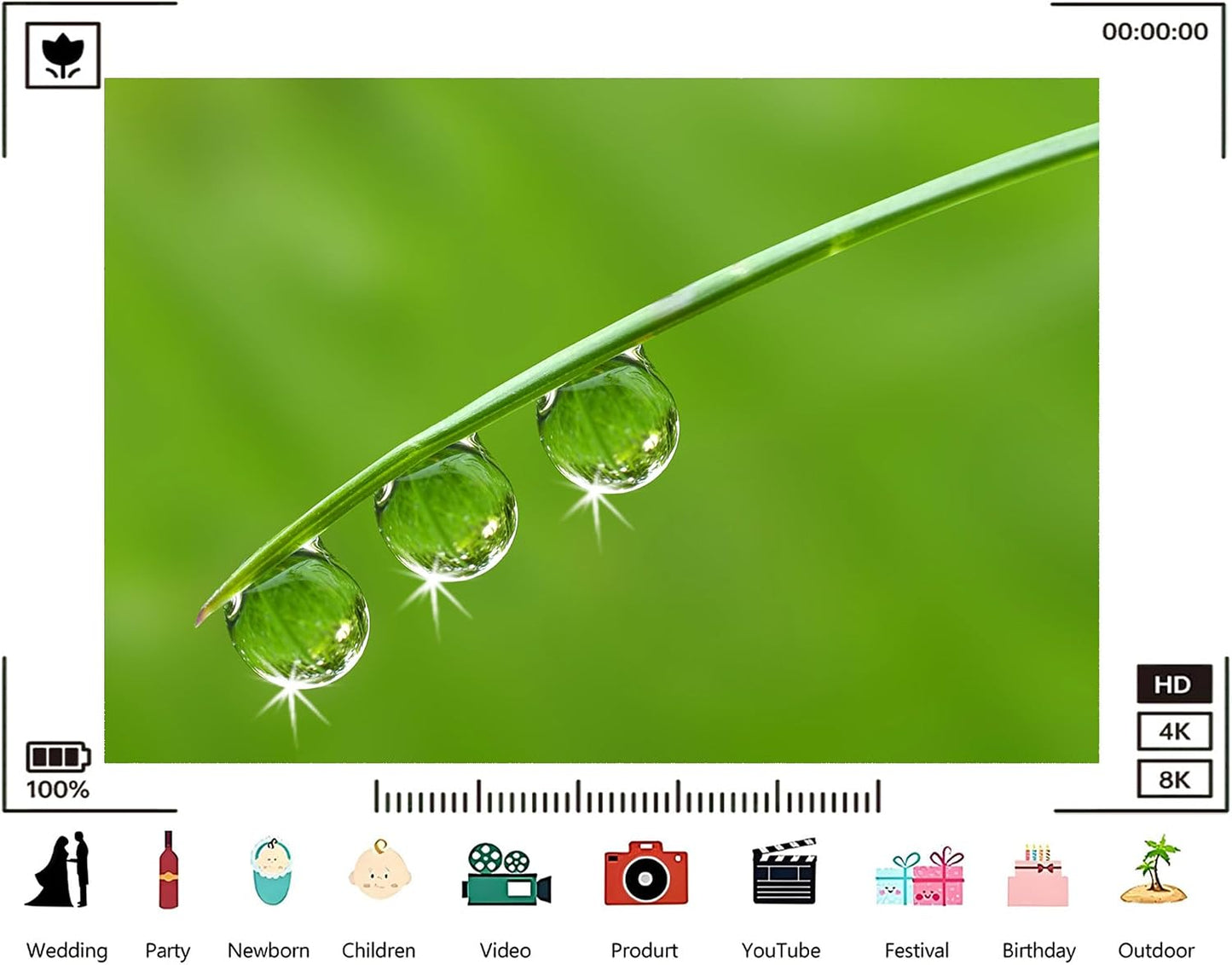 TryKid 5x5ft Green Dewdrop Grass Backdrop Sparkling Water Drop Blade Photography Background Fresh Spring Nature Event