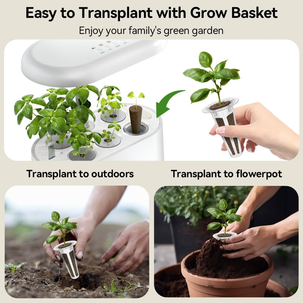 inbloom Asian Herb Seed Pod Kit for AeroGarden, iDoo, Ahopegarden, 7 Pods with 350+ Seeds (Basil, Parsley, Cilantro, Chrysanthemum, Pak Choi, Crystalline Ice Plant, Onion) Hydroponics Growing System