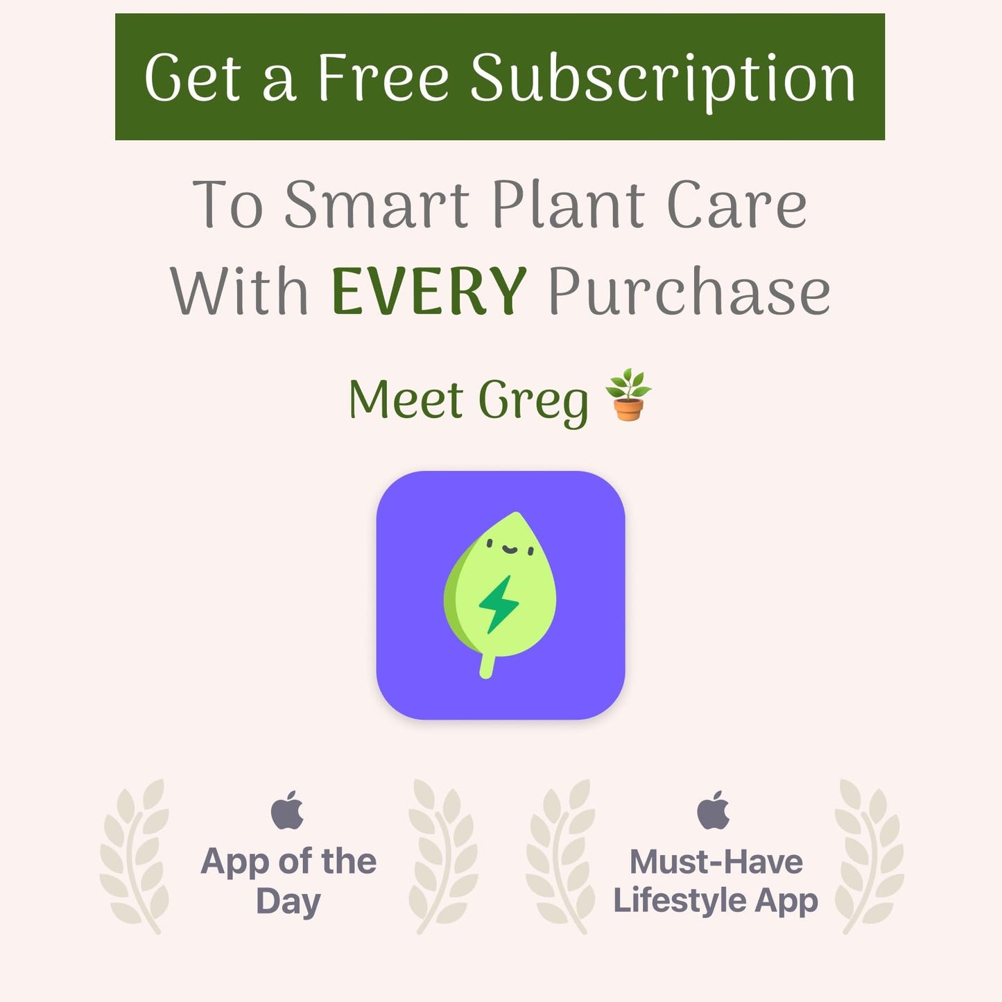 American Plant Exchange Monstera Deliciosa - Live 6-Inch Pot, Easy-Care Split Leaf Vine, Low-Maintenance Air Purifying Houseplant for Home, Office & Garden Décor