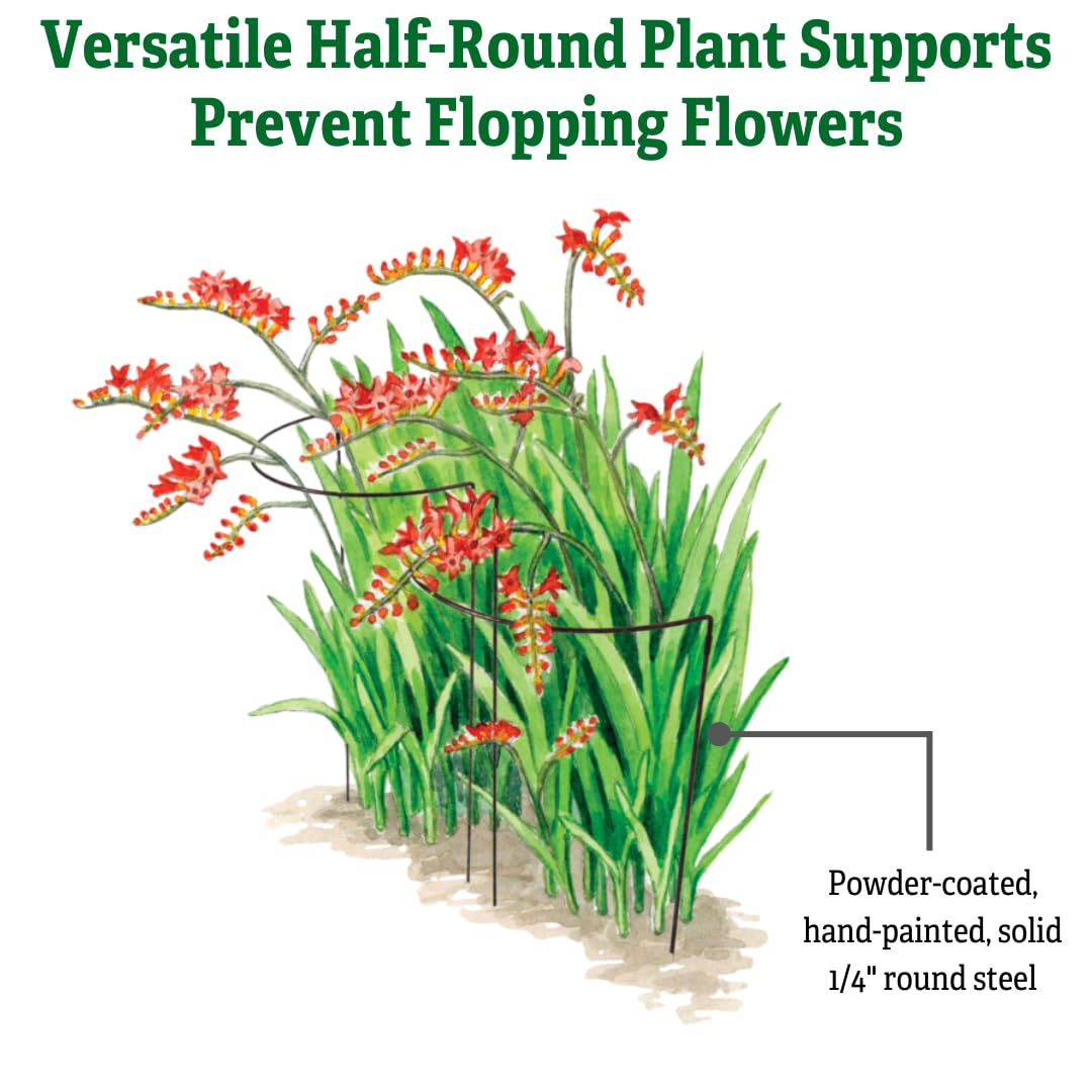 Gardener's Supply Company | 18" x 29" Jardin Half-Round Supports (Set of 2) | Half-Round Plant Supports Prevent Flopping Flowers | Weatherproof Powder-Coated Steel