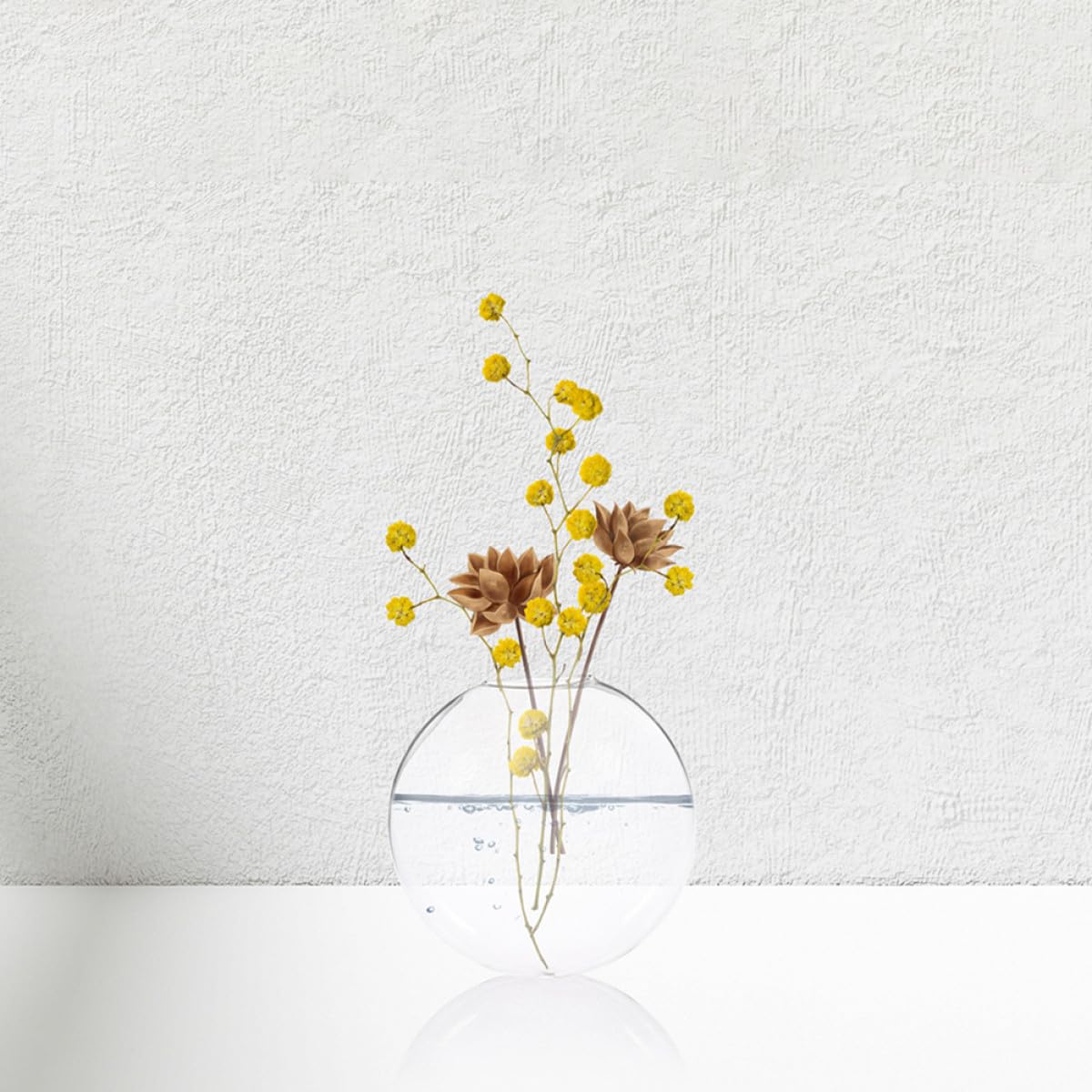 Happyyami 2pcs Wall Hanging Planter Terrariums Hydroponic Glass Vases Indoor Wall Plant Holders Decorative Hanging Pots for Home Décor