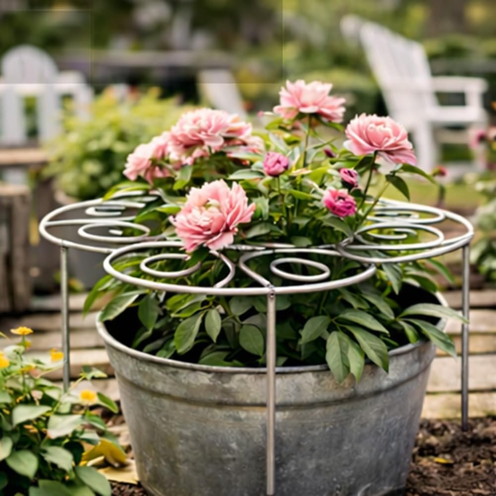 Metal Plant Support Ring for Garden, Peony Cage Stand, Indoor Pots, Flower Hoop, Decorative Grow Through Rings, Stackable Houseplant Stake, Dahlia Cage, Outdoor Orchid Clip(1PC,Small)