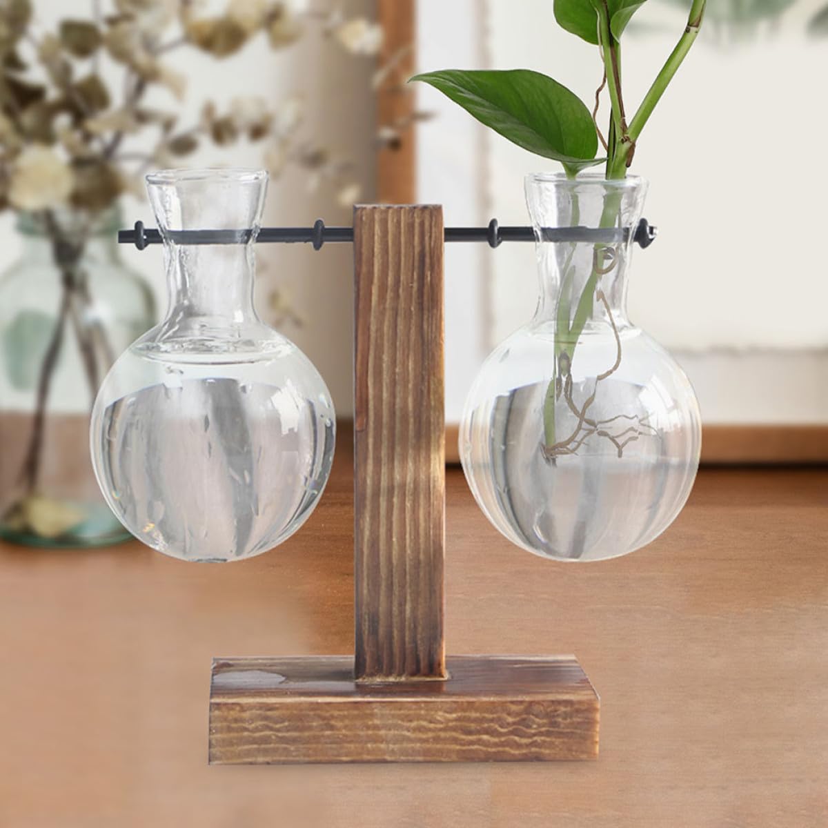 TOVINANNA 3pcs High Borosilicate Glass Propagation Planter Bulb Vases with Wooden Stand, Hydroponic Plant Terrarium Glass Vase Set for Indoor Desktop Decoration