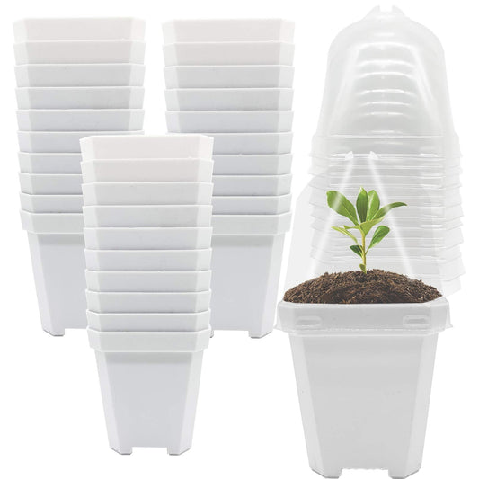 PURPLE STAR 1N 30 Packs Plant Nursery Pots with Humidity Dome, Small Gardening Pots, Square Planting Containers Cups for Succulents Seedlings Cuttings Transplanting