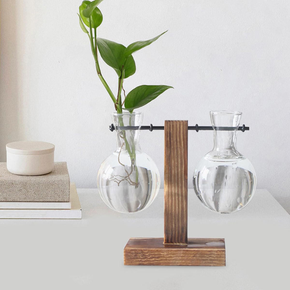 MOBUTOFU 3pcs Hydroponic Propagation Glass Containers with Wooden Stand, High Borosilicate Plant Terrarium Glass Holders for Indoor Desktop Decoration