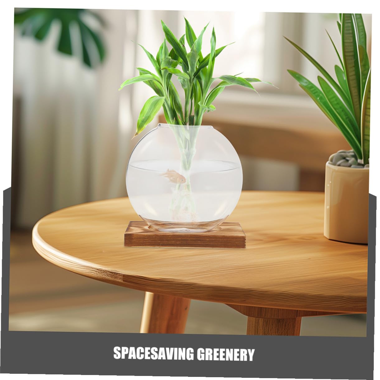 TOYANDONA 2pcs Hydroponic Glass Vases with Wooden Base, Small Plant Terrarium Pots for Indoor Propagation, Desktop Water Vase for Home Office Balcony
