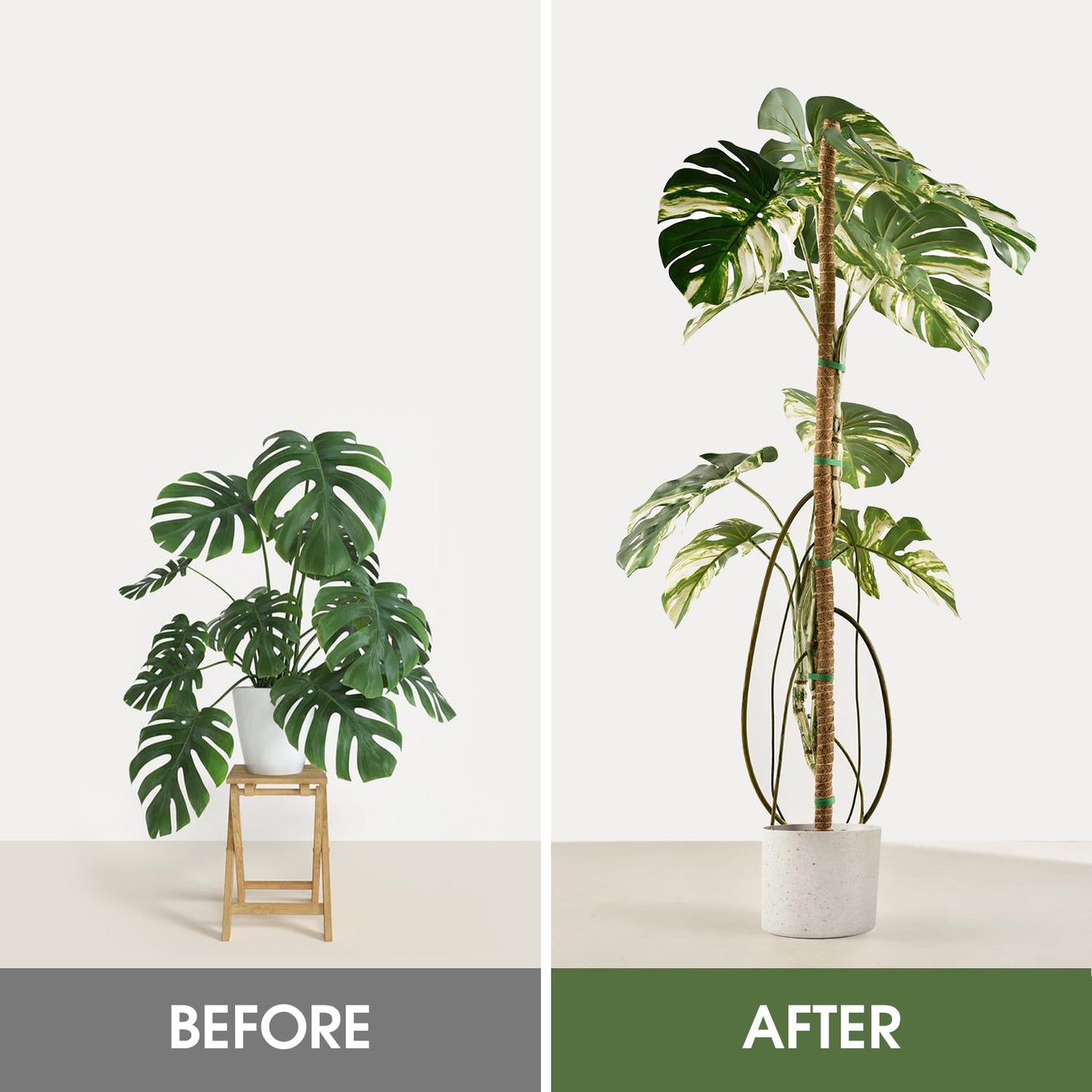 2 Pack Moss Pole, 63 Inch Bendable Moss Poles for Plants Monstera Long for Climbing Plants, Extra Large Handmade Pole Plant Sticks Support Stakes for Indoor Plants to Grow Upwards