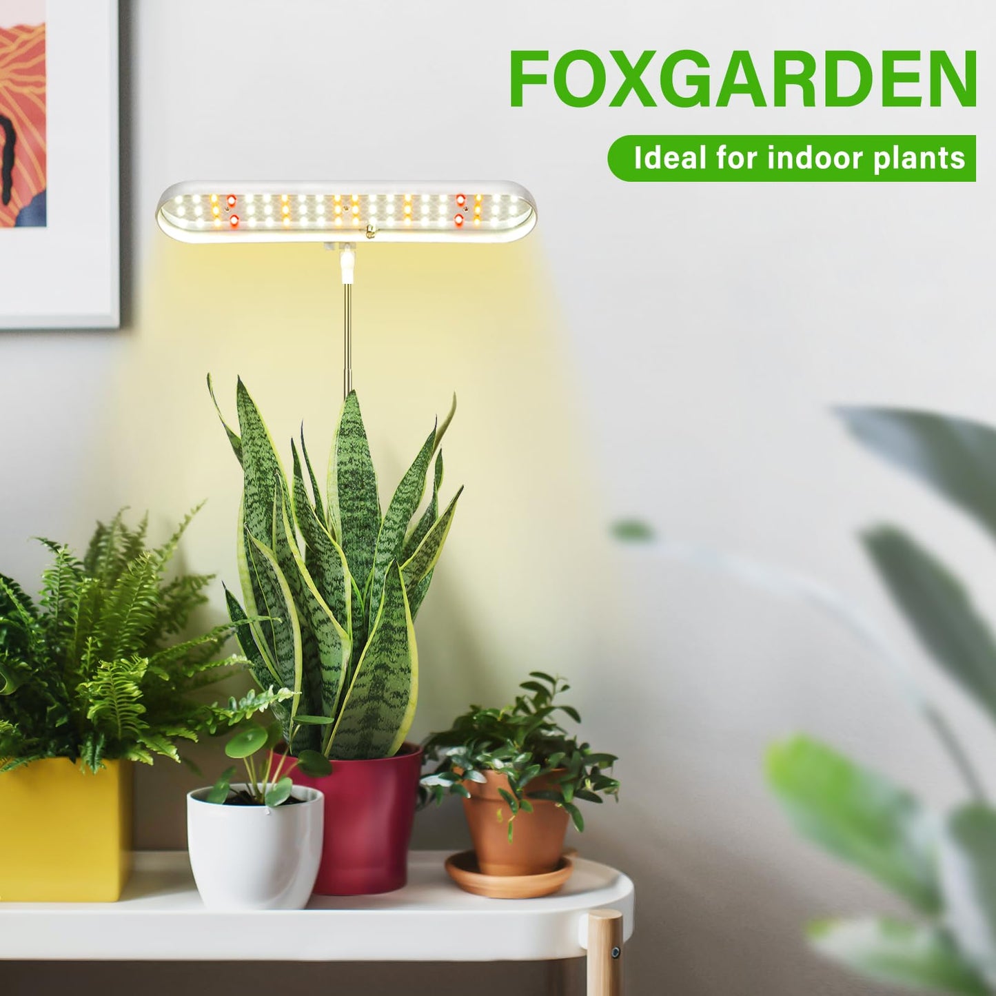 FOXGARDEN Grow Light, Full Spectrum LED Grow Lamp, Plant Lights for Indoor，Auto Timer 4/8/12H, 4 Dimmable, Height Adjustable 8.5"-24", Growing Lights