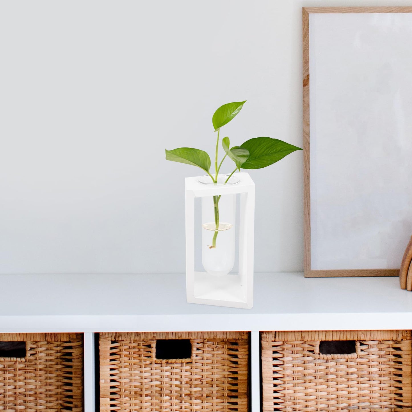 NUOBESTY Wood Frame Test Tube Vase Set, Glass Plant Propagation Tubes with White Holder, Small Hydroponic Terrarium for Indoor Home Décor and Green Plant Display