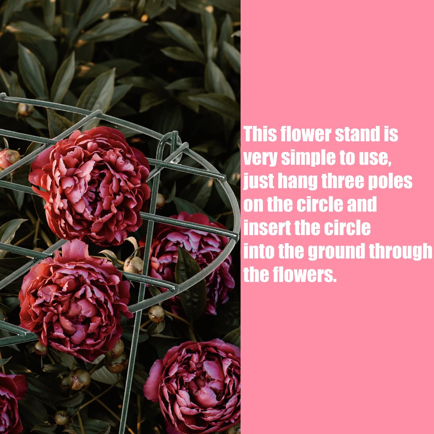 2 Pcs Flower Support Rings, Peony cage Plant Support Stake,Grow Through Grid Plant Brace, Hoops with 3 Pcs Legs for Heavy Blossoms (2 pcs 18'')
