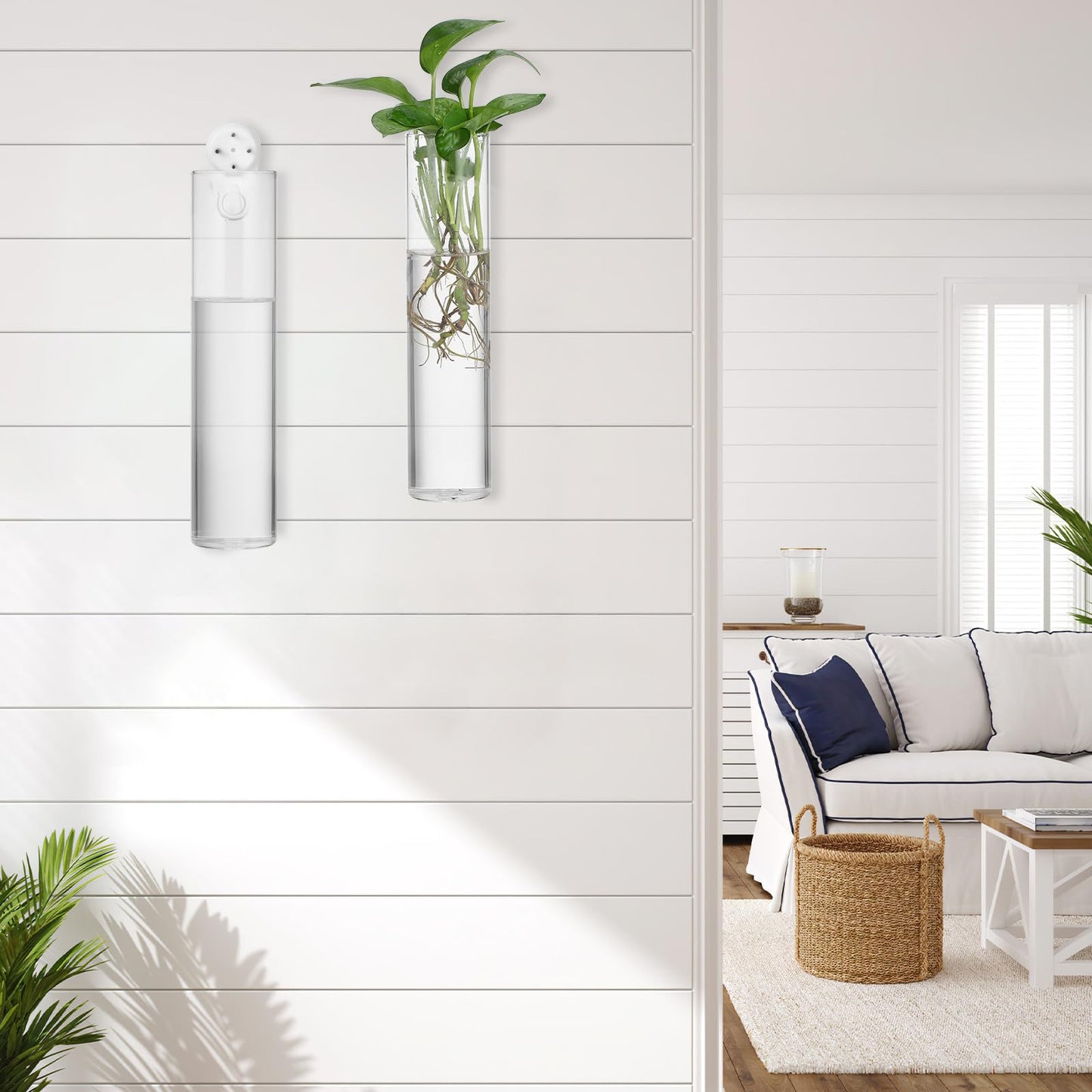 LALAFINA 2pcs Large Cylinder Hanging Glass Containers Set for Wall Hydroponic Plant Propagation, Contemporary Glass Holders for Home Décor and Indoor Terrariums
