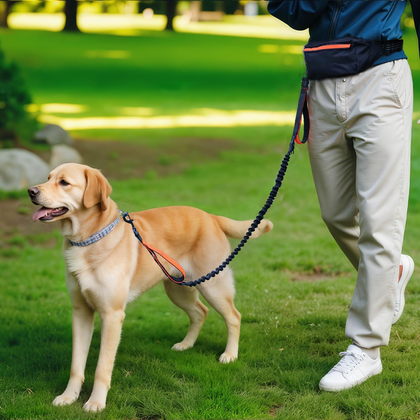 Amazon Basics Hands Free Dog Leash with Running Bag, Adjustable Waist Belt, Dual Padded Handles, Reflective Bungee Leash for Walking, Jogging, Hiking, Fits Small to Large Dogs (Up to 150 lbs)