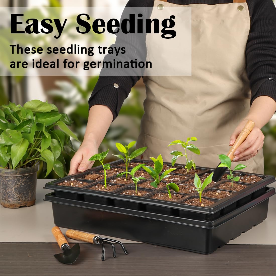 RooTrimmer 10 Pack 2.5 inch Square Pots 3.5 inch Deep 20 Cell Seedling Plug Trays with Water Collection Nursery Trays (15"x11"x3") for Seeds Starting and Transplanting
