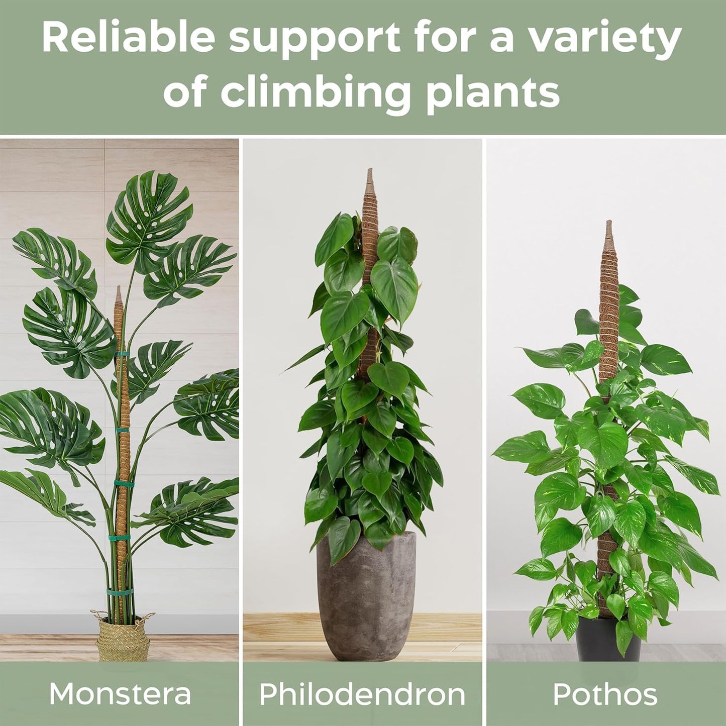 2 Pack 48'' Bendable Moss Pole Monstera Plant Support for Climbing Indoor Plants - Stakes for Potted Climbers - Tall Sticks Indoor Trellis for Houseplants - Accessories for Monstera Pot