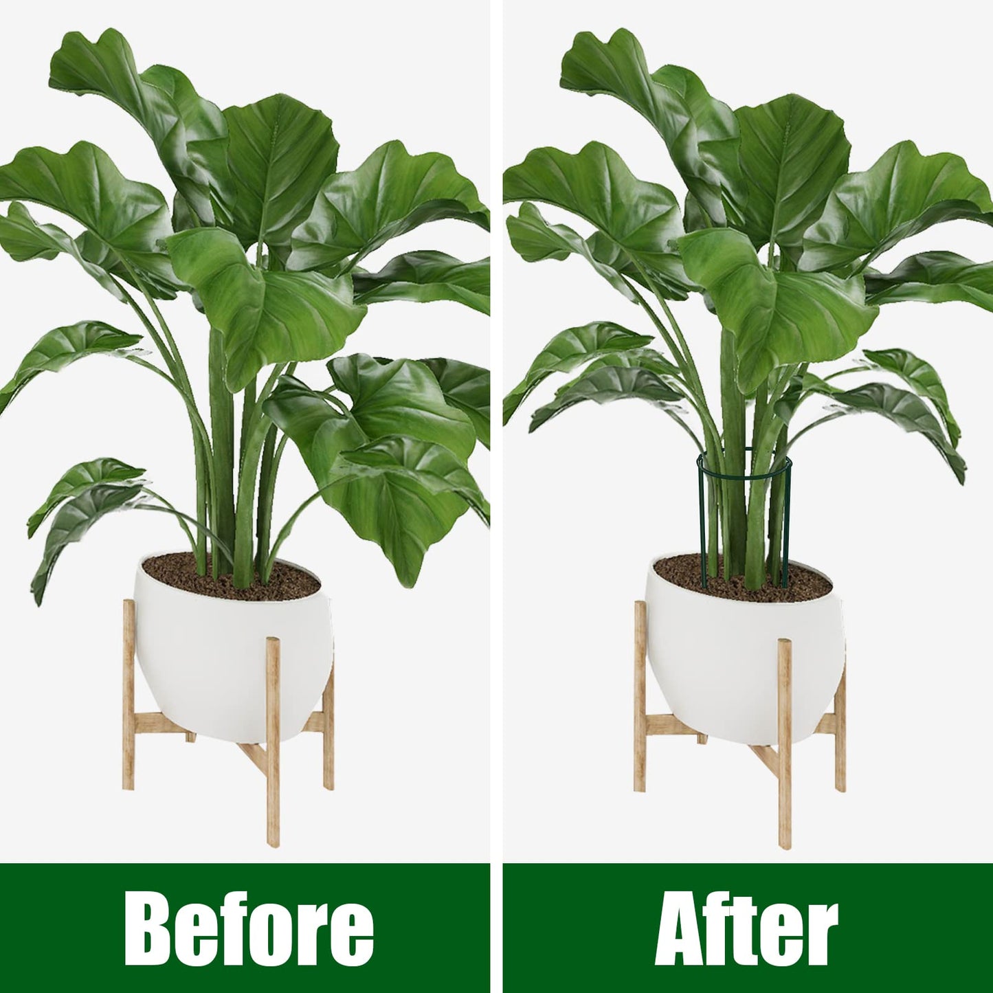 FEED GARDEN Plant Support Stakes Peony Cages and Support and 120Pcs Plant Clips for Climbing Plants