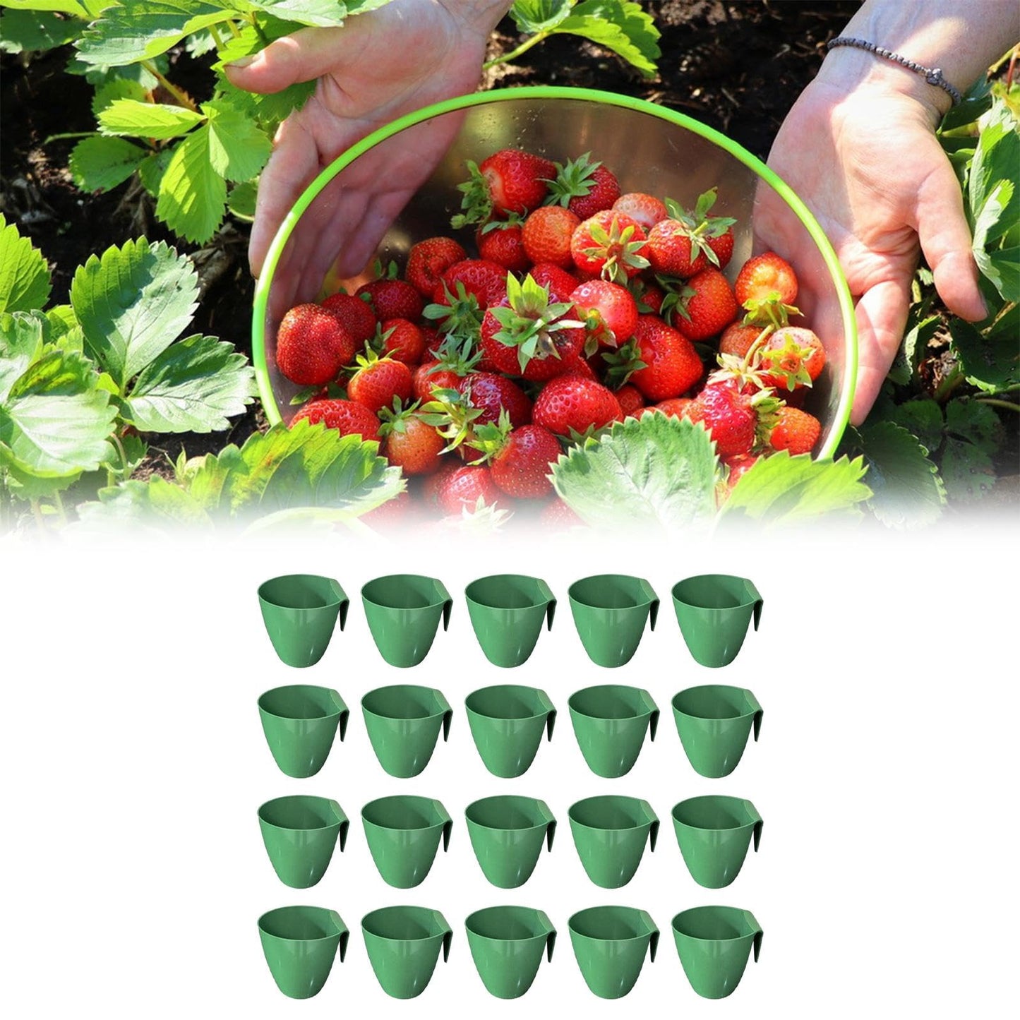 ShengQuanHao 20 Pieces of Strawberry Growing Cups for Garden Accessories, Size L