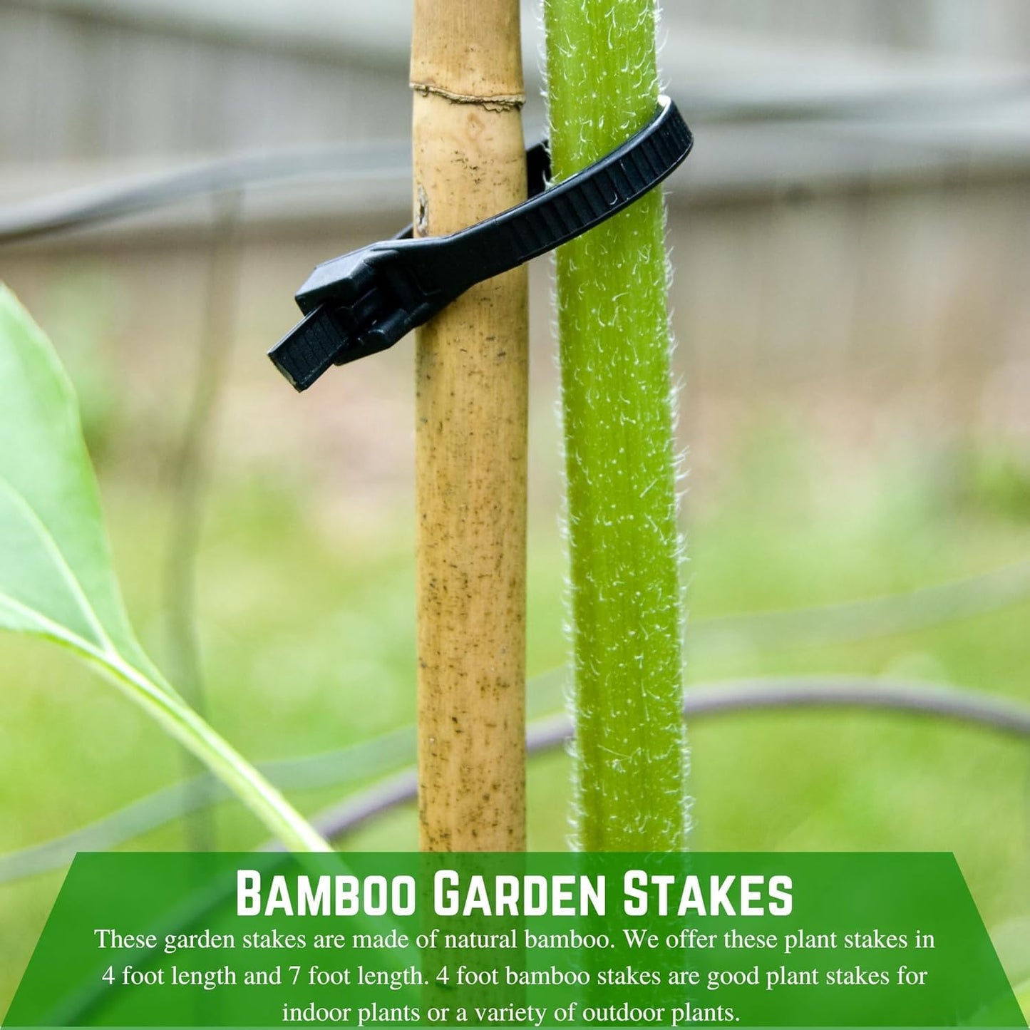 Farm Plastic Supply - Bamboo Garden Stakes - Bambo Sticks, Bamboo Plant Stakes for Outdoor Plants, Plant Support Stakes for Indoor Plants (4 Foot, 100)