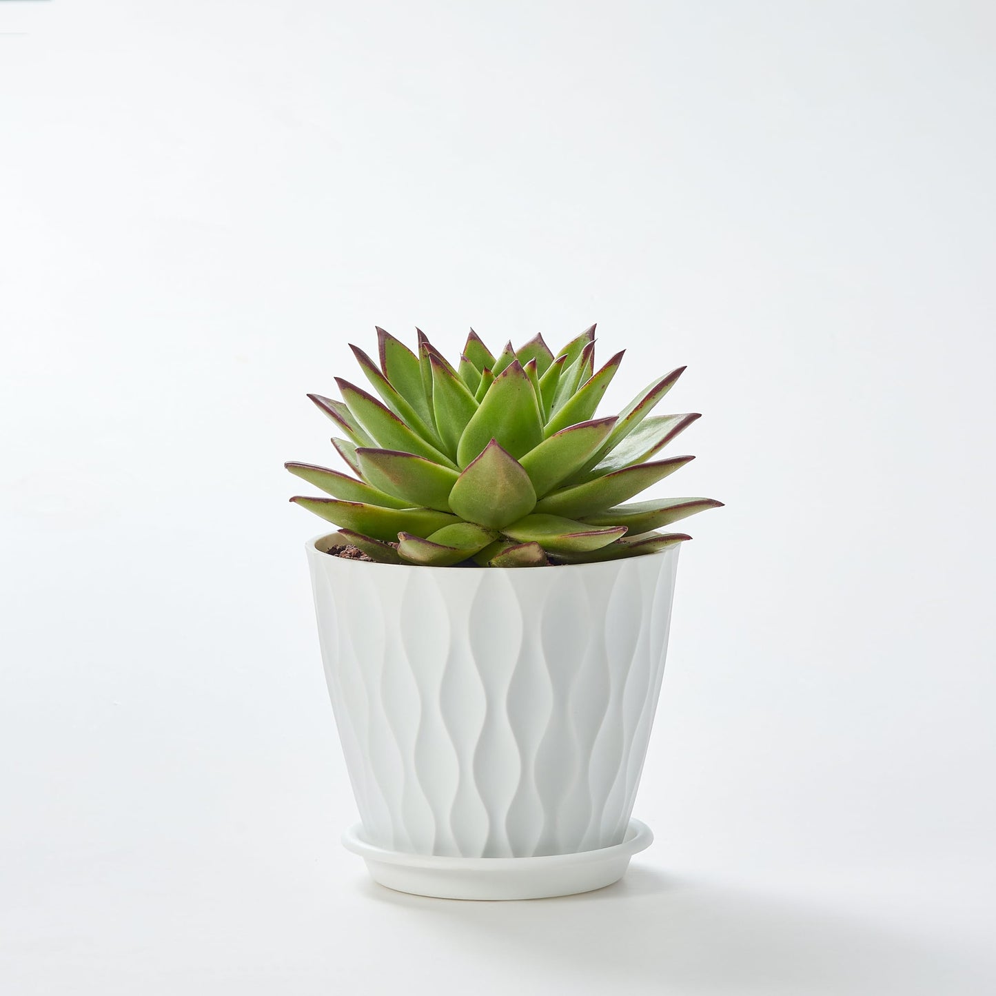 FaithLand 6-Pack 6-Inch Plastic Plant Pots with Saucers | Thickened PP Material, Modern Wave Texture, Enhanced Drainage for Indoor/Outdoor Garden Plants | White Value Set