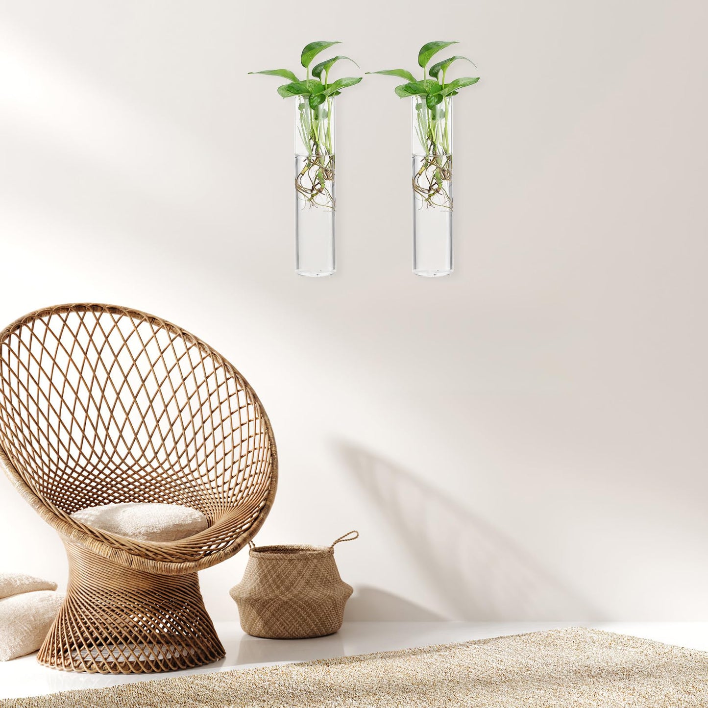 HOLIDYOYO Wall Hanging Glass Cylinder Vases Set of 2, Large Propagation Stations for Hydroponic Plants, Glass Terrariums for Indoor Plant Display and Home Décor