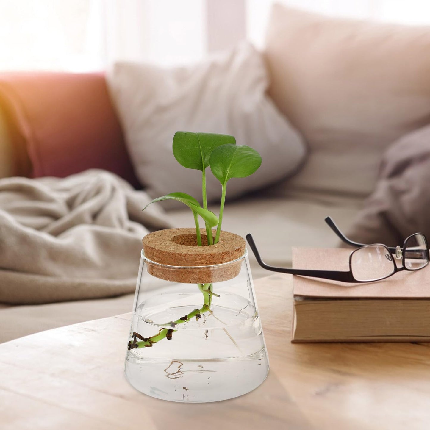 BESPORTBLE 2pcs Hydroponic Glass Vases 400ml with Cork Lid 6.5cm Opening Diameter Desktop Plant Terrariums for Hydroponics and Garden Decoration