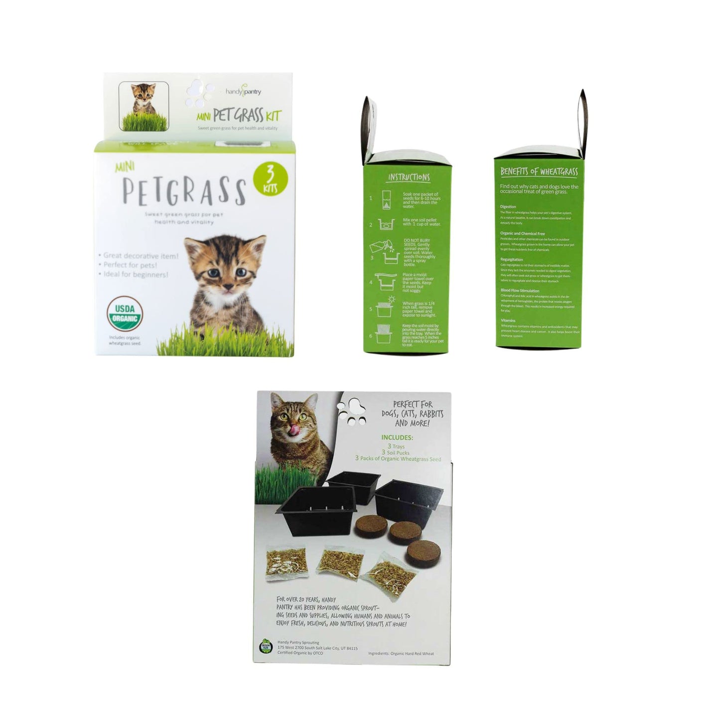 Handy Pantry Organic Cat Grass Kit - Includes 3 Trays, Soil Pucks, and 3 Packs Non GMO Wheatgrass Seed - A Healthy Treat For Cats, Dogs, Rabbits, More