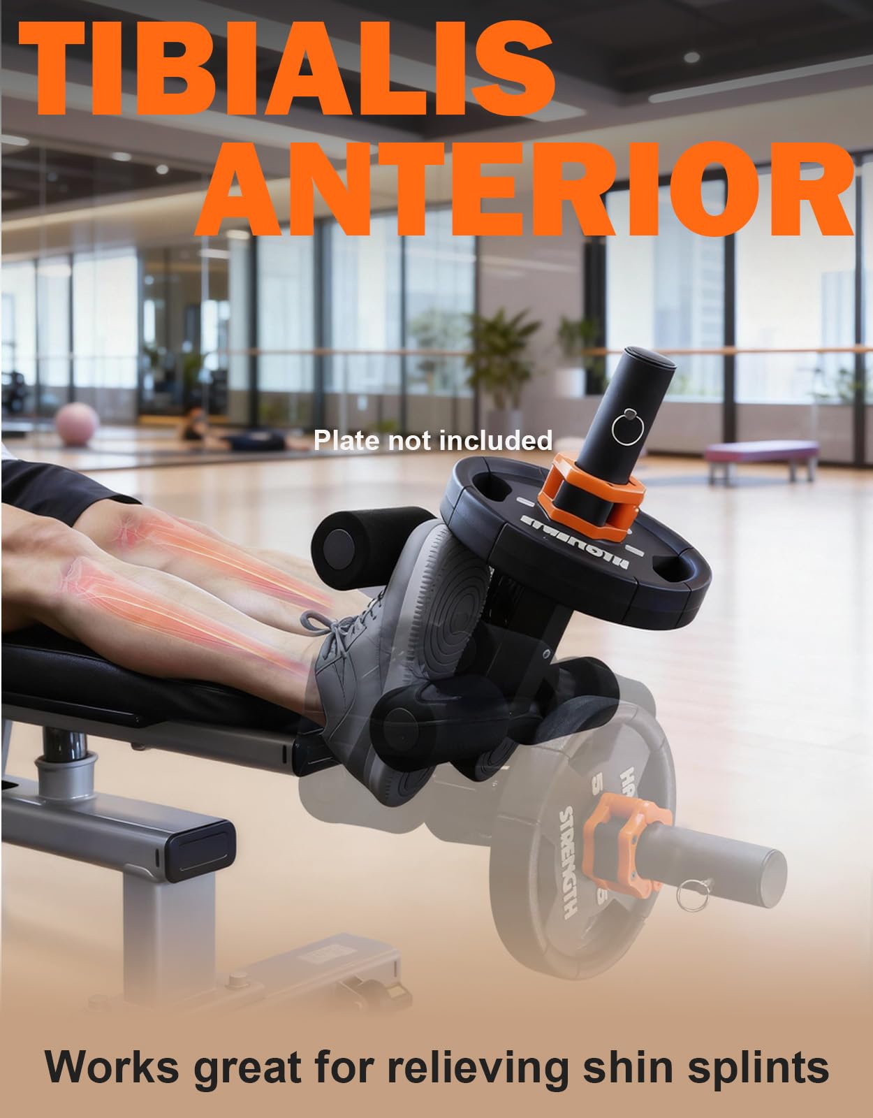 Fitarc Tib Bar, Tibialis Trainer, Tibia Dorsi Calf Raise Machine, Knees Over Toes Equipment for Strengthening Calves/Shins/Ankles, Black, Fits 1" Olympic Weight Plates
