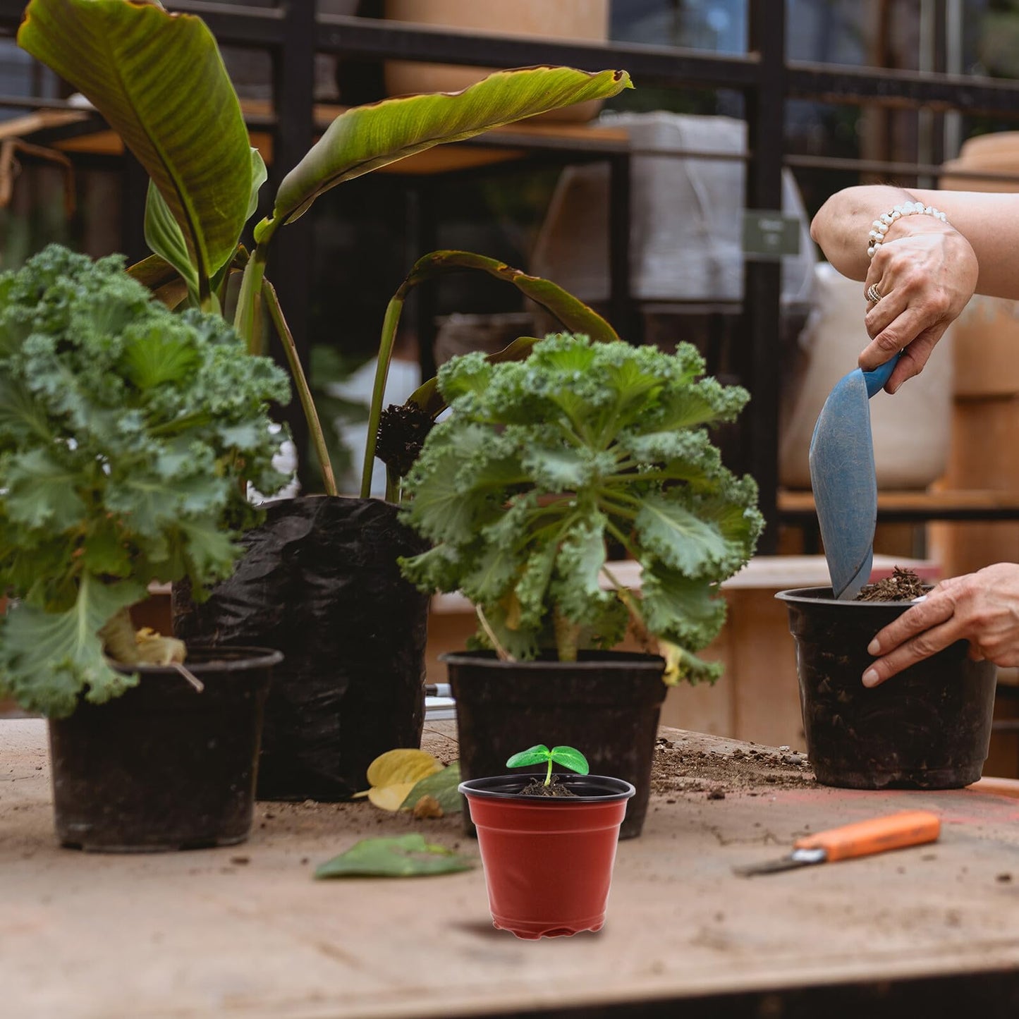 JOINPAYA 100pcs Seedling Nursery Pots for Strawberry Cuttings, Plastic Growing Cups with Dual Color Design, Thickened Sturdy Containers for Greenhouse and Garden Use