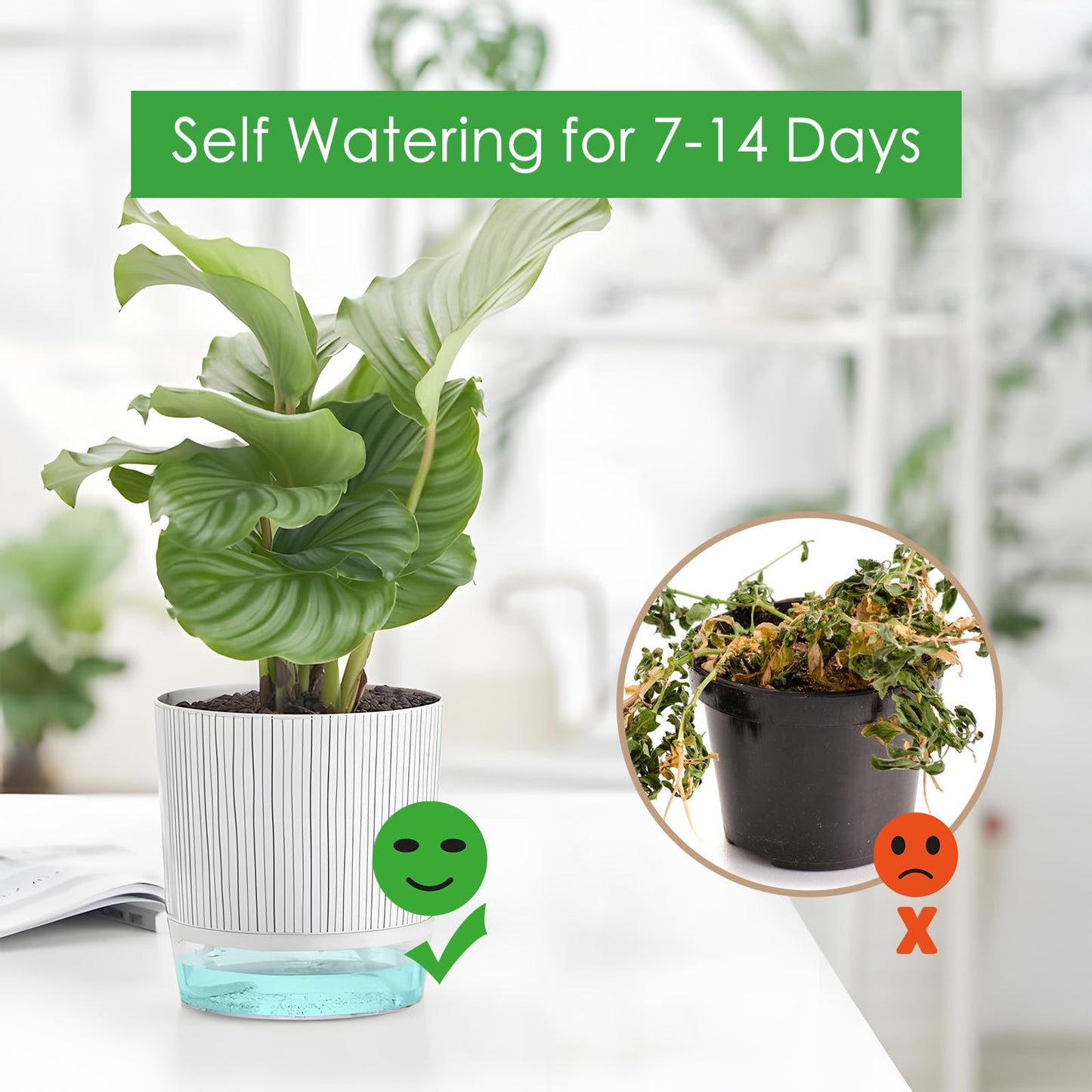 Samhe 4 Pack Self Watering Pots Set, 4+5.5 Inch Self Watering Pots for Indoor Plants, Planter Pot with Wick Rope and Reservoir for African Violet, Spider Plant, Orchid