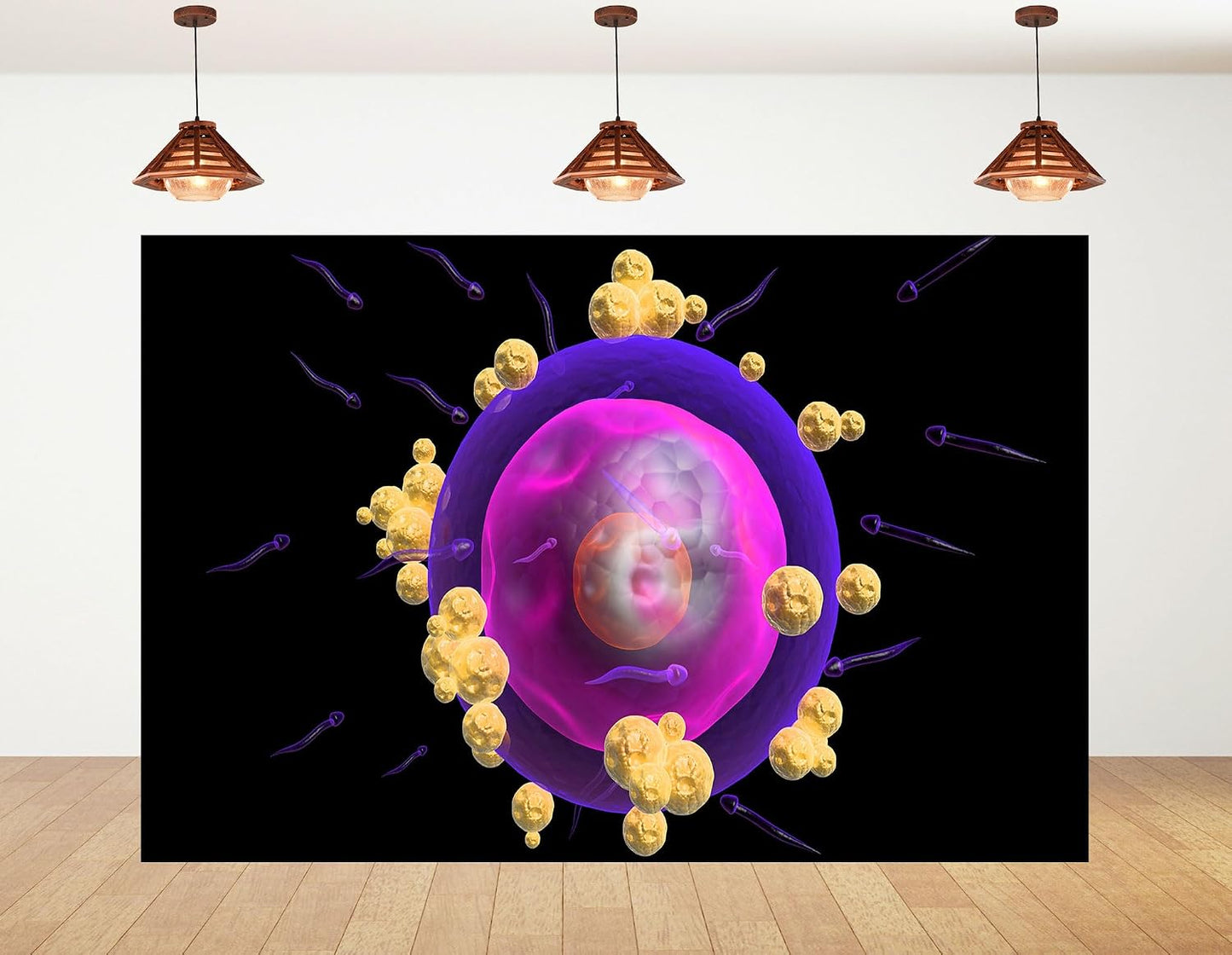 KeyWork 10x5ft Human Egg Cell Fertilization Backdrop Reproductive Science Photography Background for Health Fair