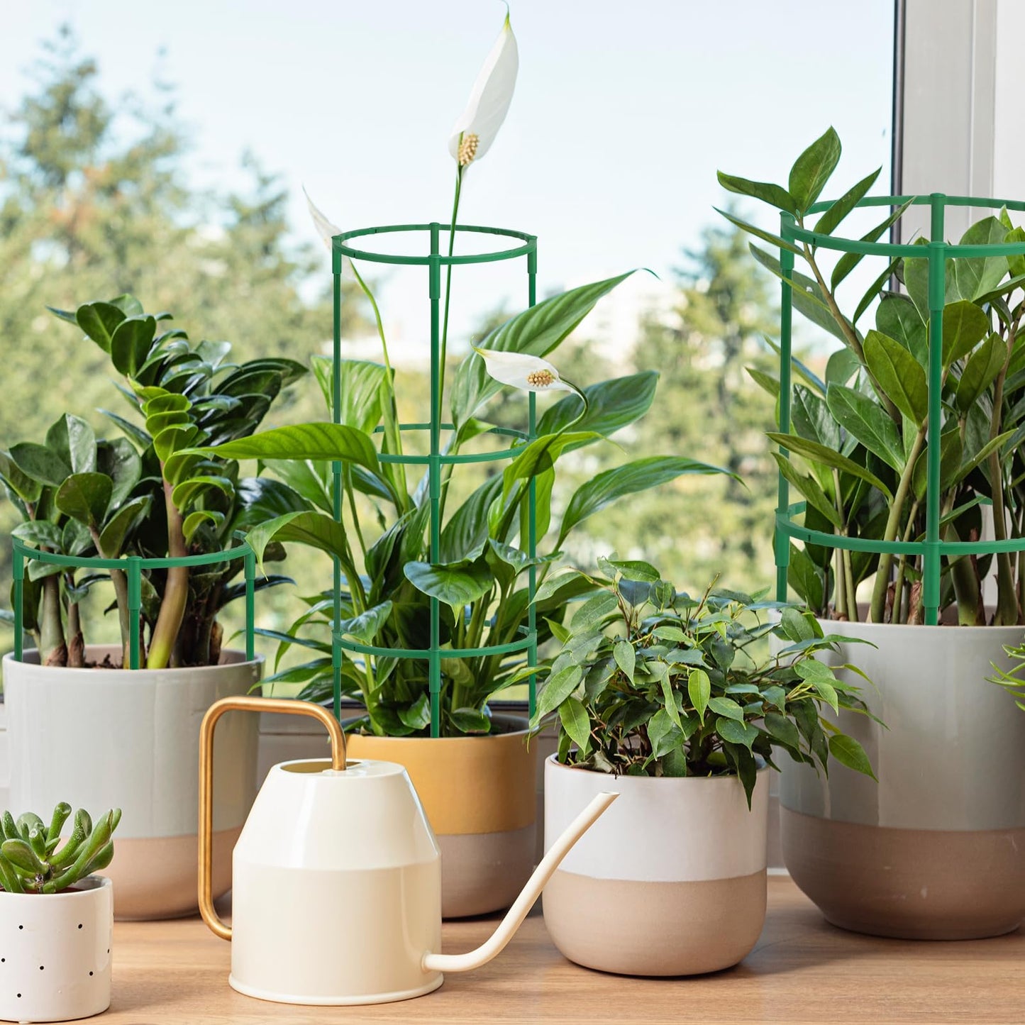 36 Packs Plant Support Stake, Half Round Stackable 3 Tier Garden Flower Support, Plant Stakes for Indoor Outdoor Plants Tomato,Monstera, Peony, Hydrangea, Climbing Plants