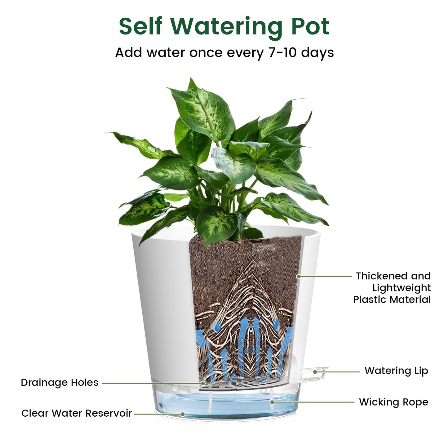 Meowell 6 inch Self Watering Pots for Indoor Outdoor Plants, 3 Pack Flower Plant Pots with Drainage Holes and Clear Reservoirs, Visible Water Level, Plastic Planters with Wicking Rope, White