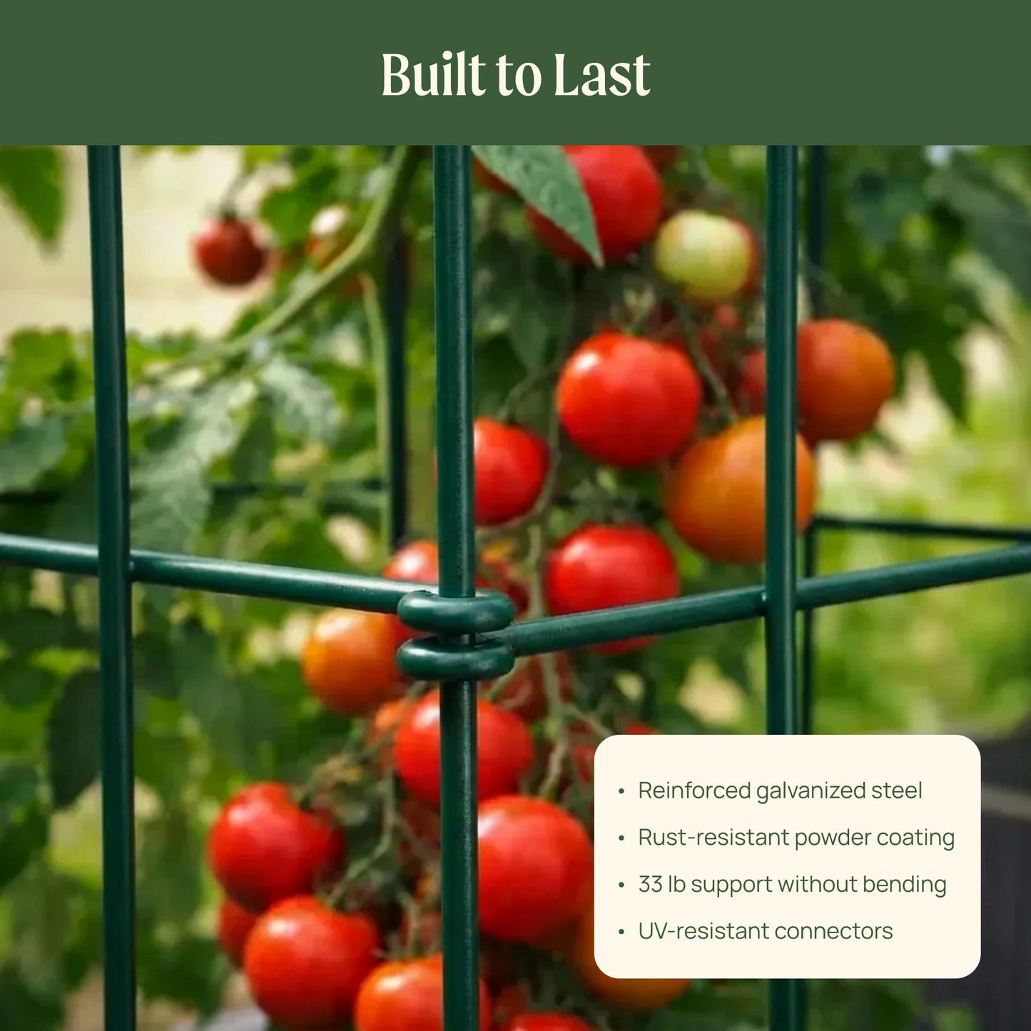 Vego Garden 4 Pack 11.5" Square Tomato Cage for Garden & Pots, Rust-Resistant Tomato Stakes Heavy Gauge Plant Cage Trellis Support for Climbing Vegetables Plants