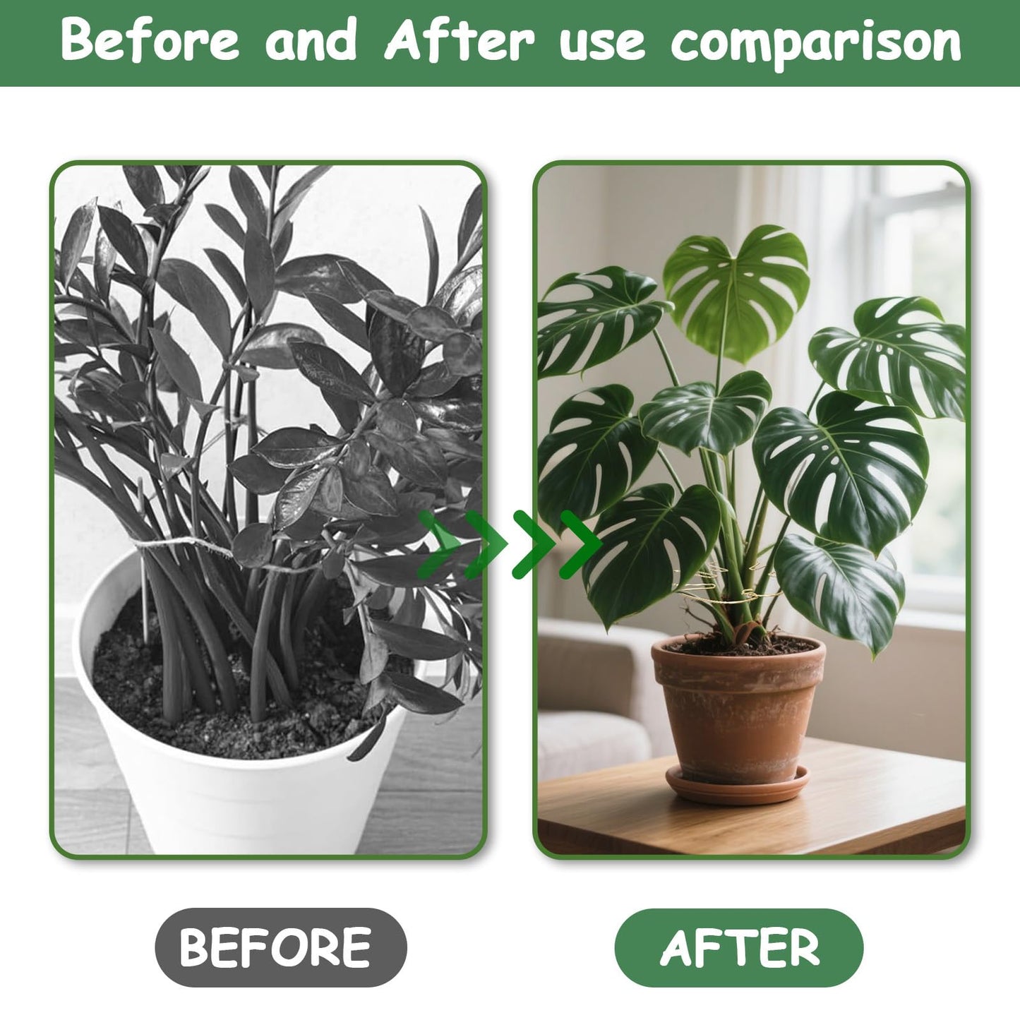 5PCS Iron Monstera Plant Support, Plant Stem Support, Turtle Shell Bamboo Clamp Set, Stable Plant Support Stakes for Indoor Plant, Ideal Present for Plant Lovers