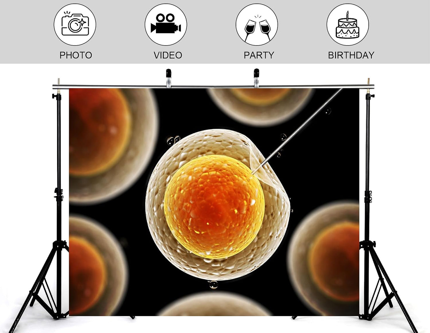 KeyWork 5x3ft Egg Cell Fertilization Backdrop Reproductive Medical Photography Background for Science Fair Health Event