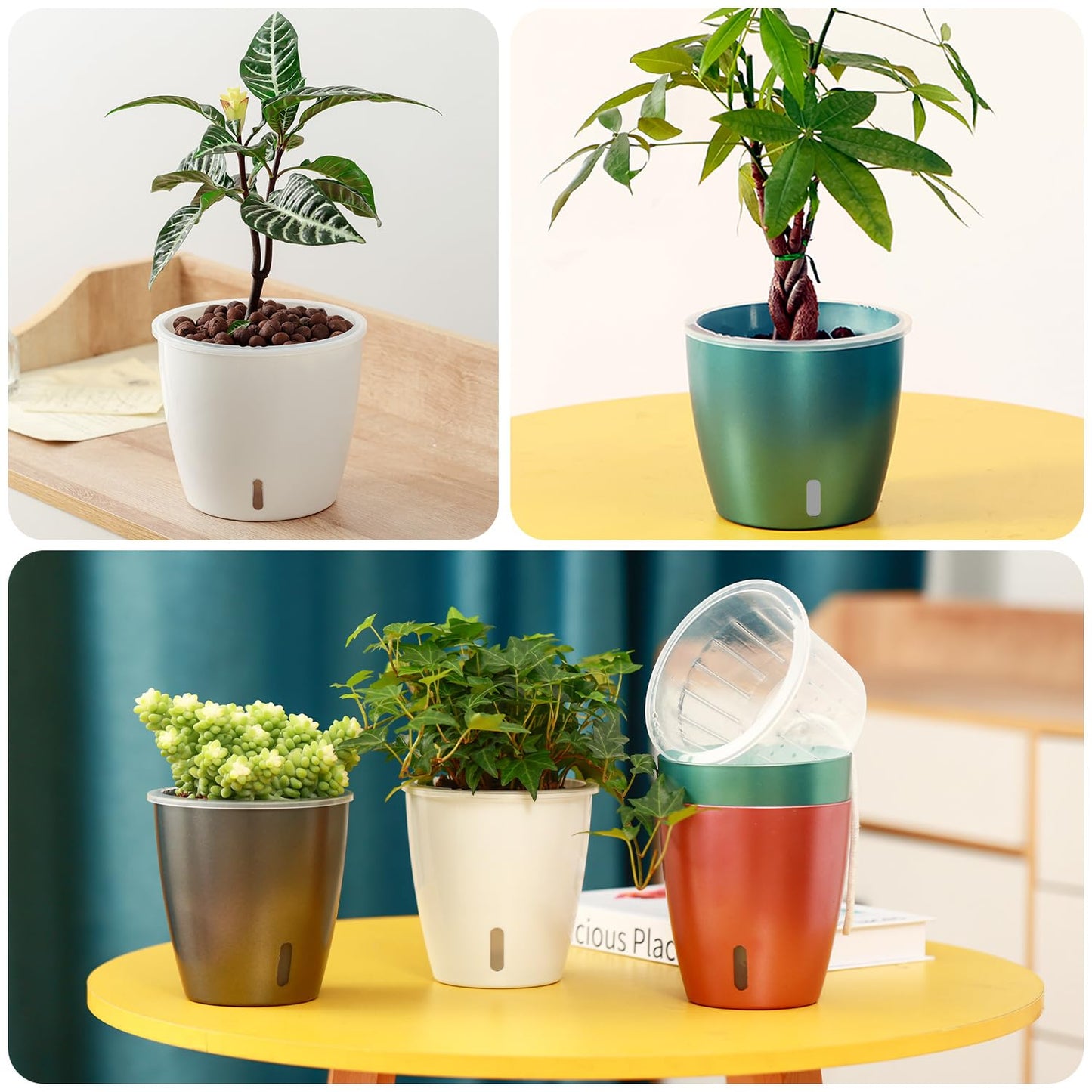 KvyusFlourish Self Watering Pots for Indoor Plants, 4-Pack 6.7'' Self Watering Planter with Drainage Holes, Small African Violet Pots with Water Indicator, Clear Wick Orchid Pot, Blue Gold